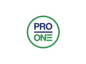 ProOne Solutions Consulting